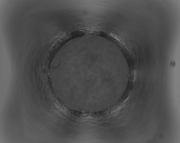 X0000091650913200708231218