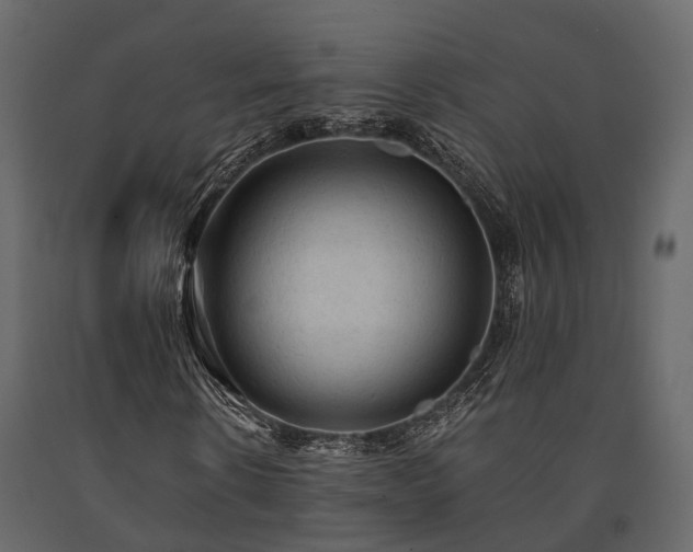 X0000091650914200708231218