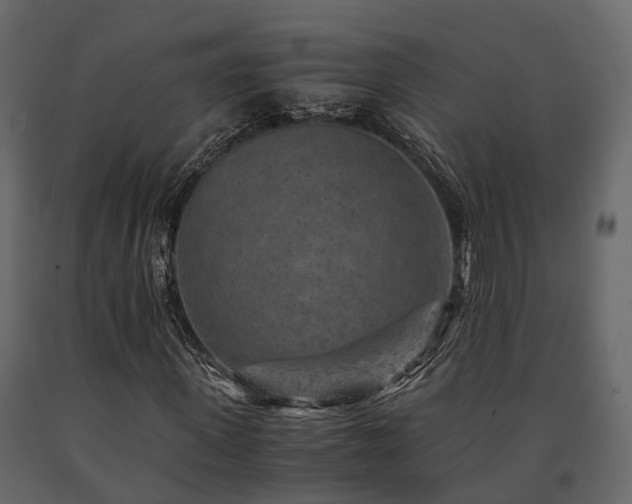 X0000091650915200708231218