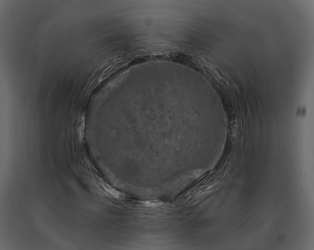 X0000091650916200708231218