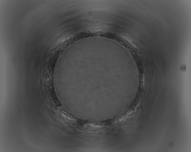 X0000091650917200708231218