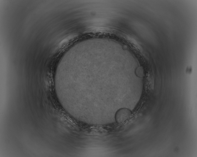 X0000091650918200708231218