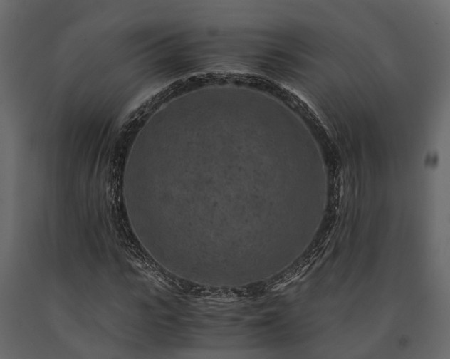 X0000091650919200708231218