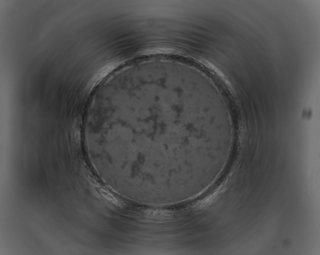 X0000091650921200708231218