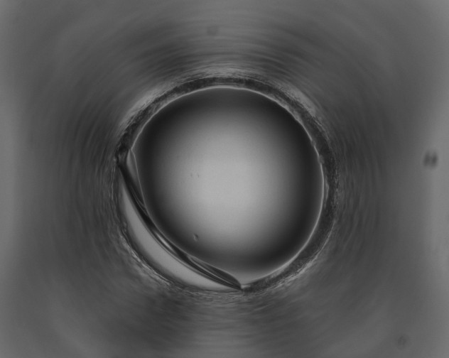 X0000091650922200708231218