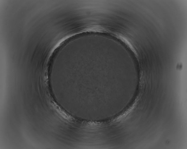 X0000091650923200708231218