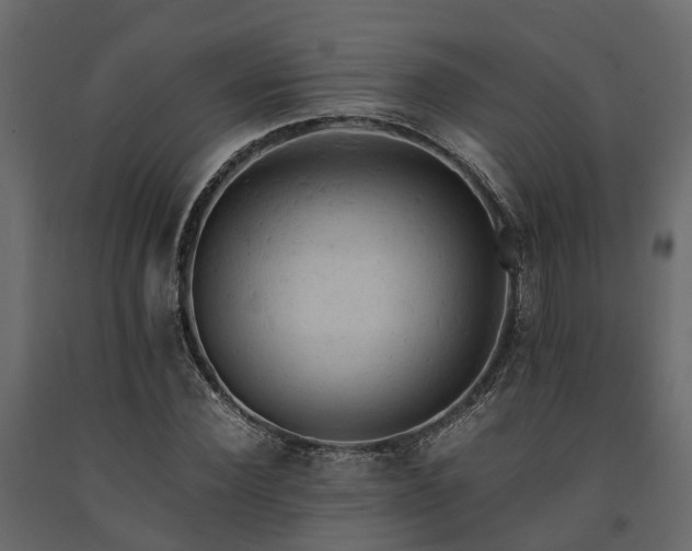 X0000091650924200708231218