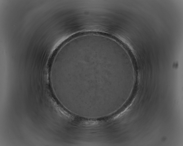 X0000091650925200708231218