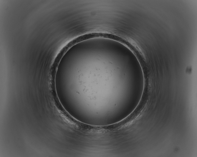 X0000091650926200708231218