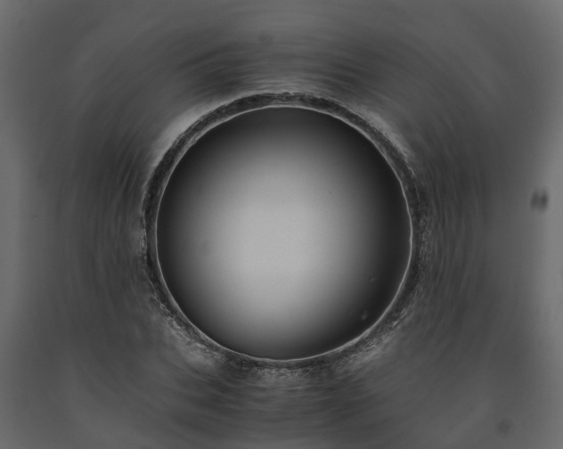 X0000091650927200708231218