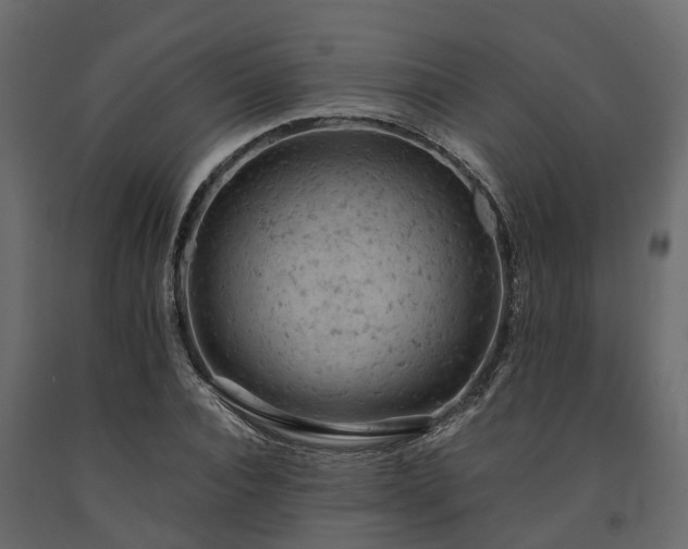 X0000091650928200708231218