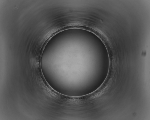 X0000091650929200708231218