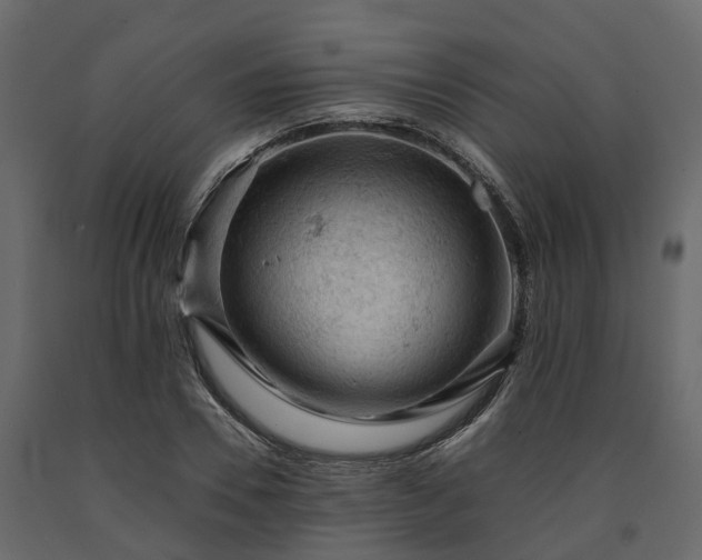 X0000091650930200708231218