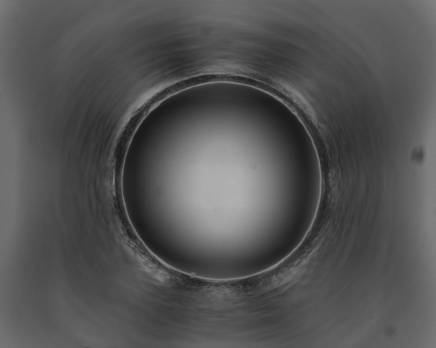 X0000091650931200708231218
