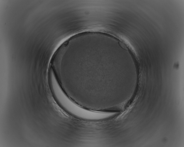 X0000091650932200708231218