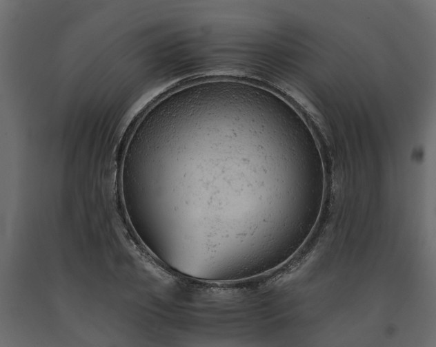 X0000091650933200708231218