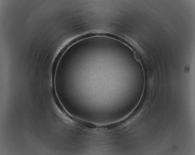 X0000091650934200708231218