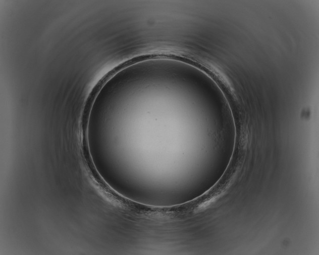 X0000091650936200708231218