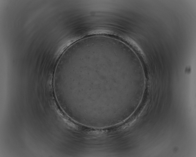 X0000091650937200708231218