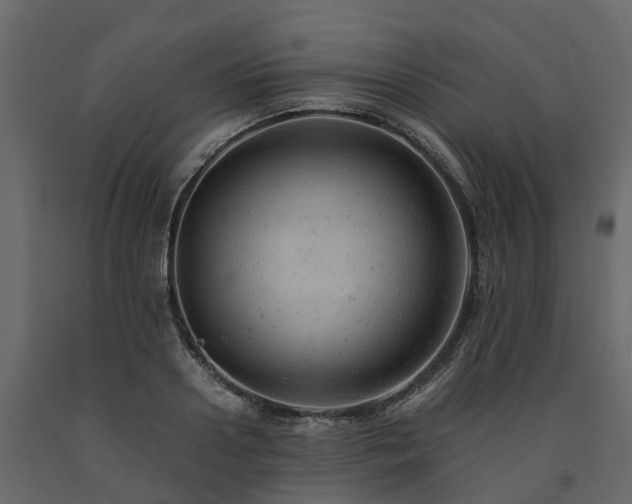 X0000091650938200708231218