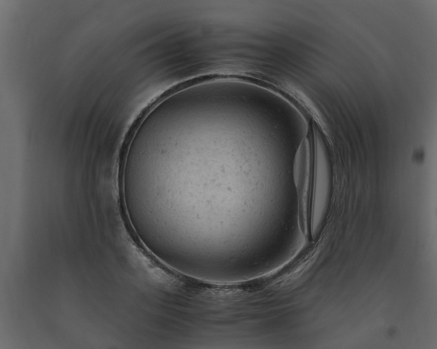 X0000091650939200708231218