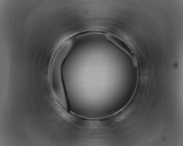 X0000091650940200708231218