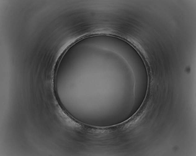 X0000091650941200708231218