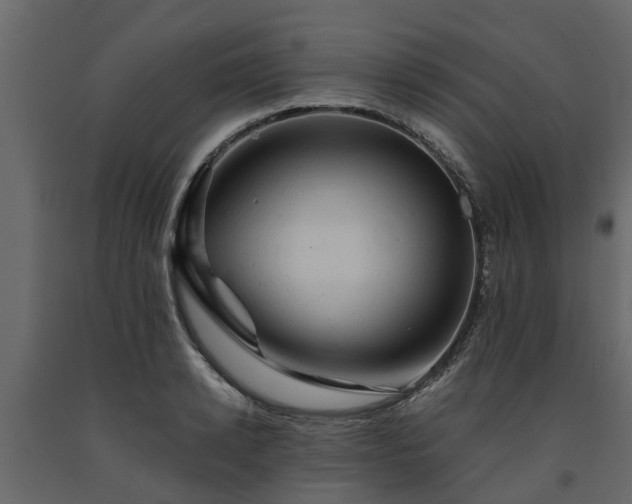 X0000091650942200708231218