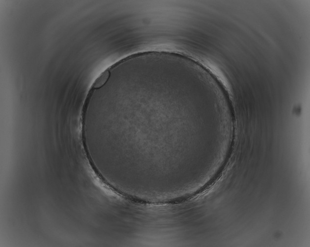 X0000091650944200708231218