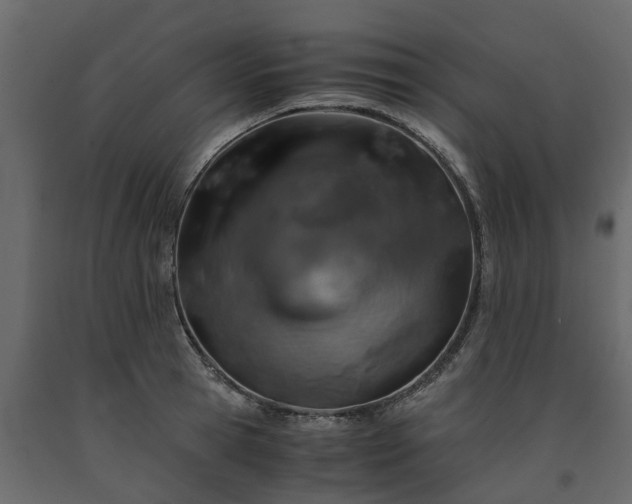 X0000091650945200708231218