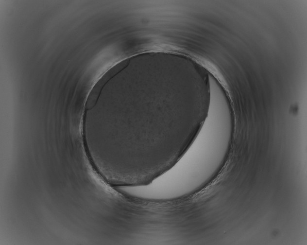 X0000091650946200708231218