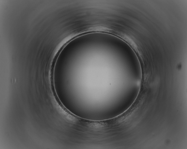 X0000091650947200708231218