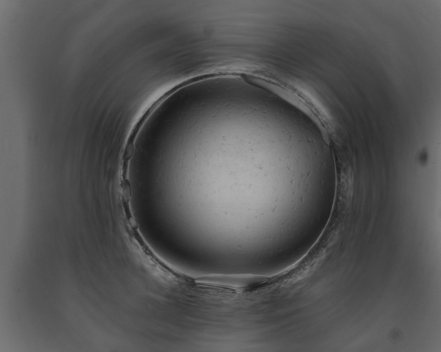 X0000091650948200708231218