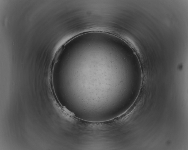 X0000091650952200708231218