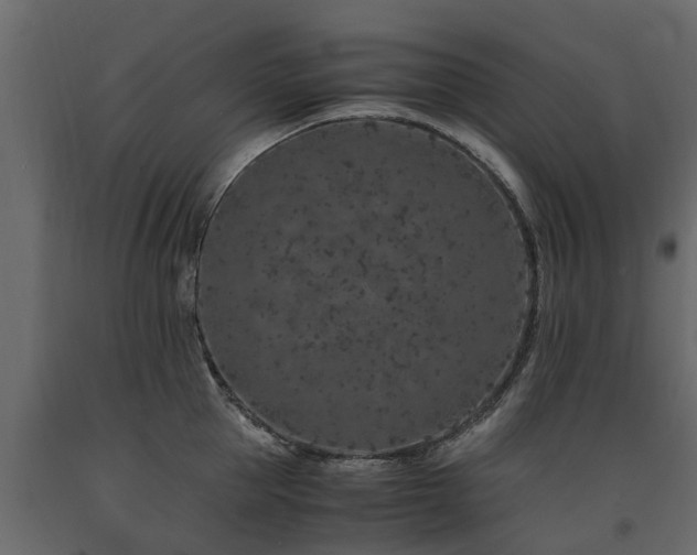X0000091650953200708231218