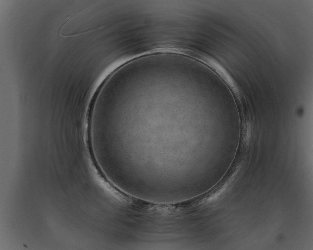 X0000091650955200708231218