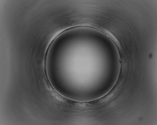X0000091650956200708231218