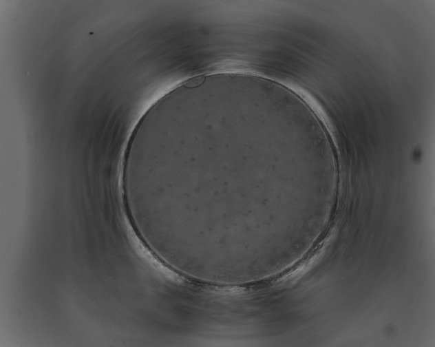 X0000091650957200708231218