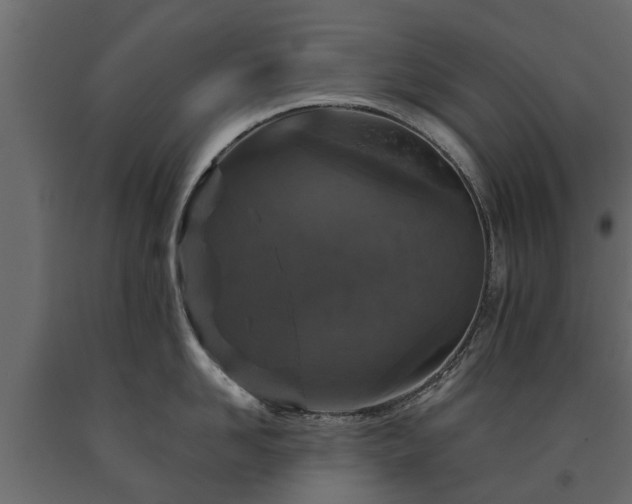 X0000091650958200708231218