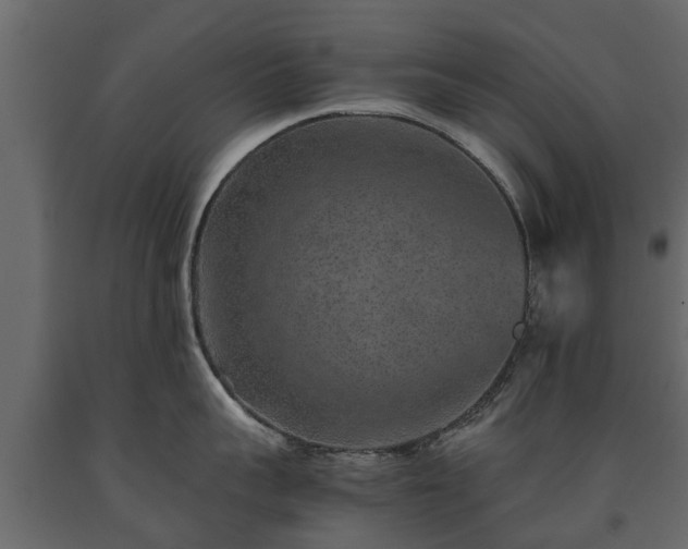 X0000091650959200708231218