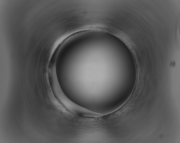 X0000091650960200708231218