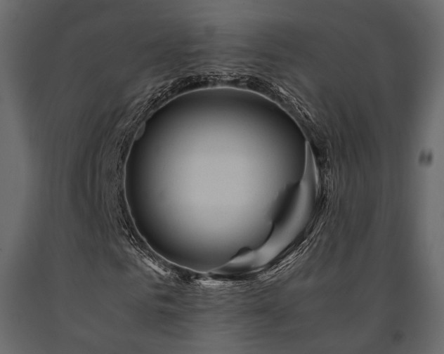 X0000091650961200708231218