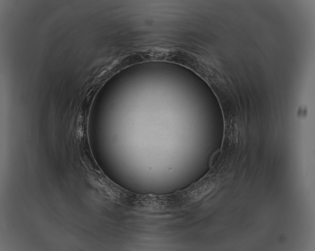 X0000091650962200708231218