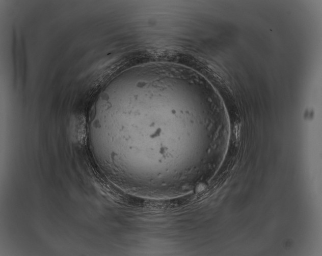 X0000091650963200708231218