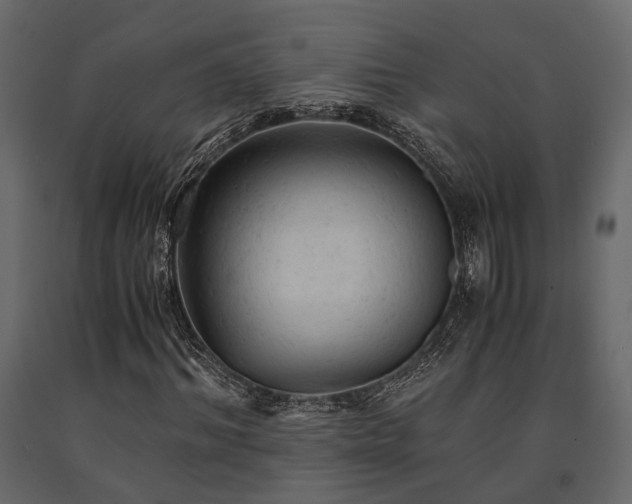 X0000091650964200708231218