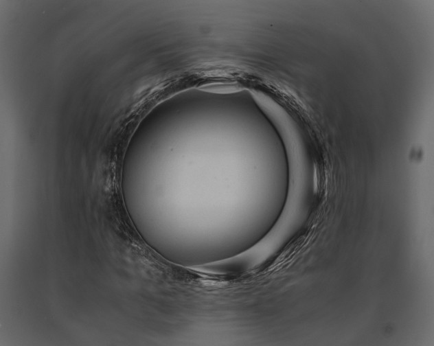 X0000091650965200708231217