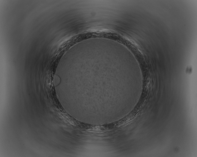 X0000091650966200708231217