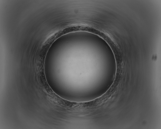 X0000091650967200708231217