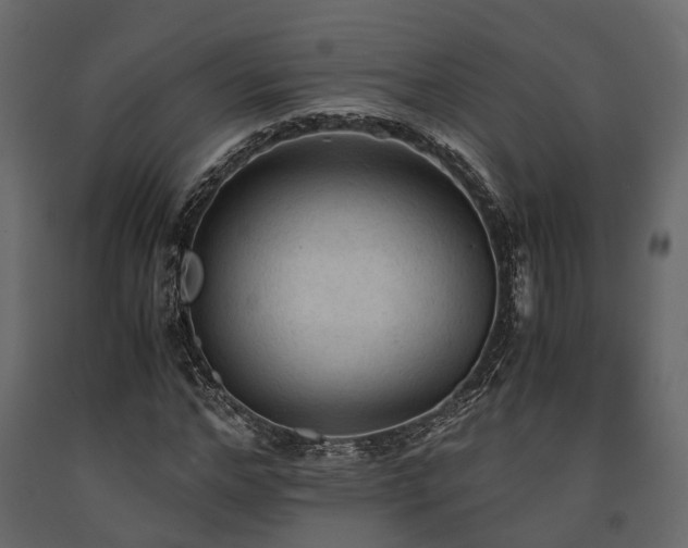 X0000091650968200708231217
