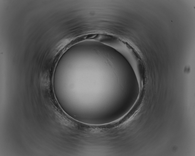 X0000091650969200708231217